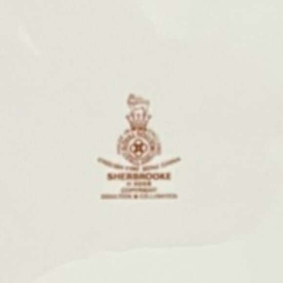 Elegant Royal Doulton Sherbrooke Collection 13.5" Oval Serving Platter - Picture 5 of 5